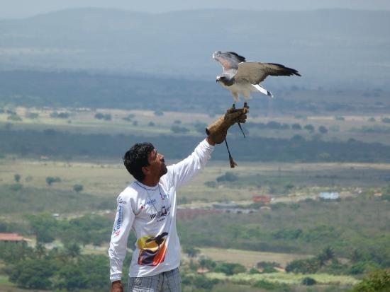 parque-dos-falcoes-razões-para-amar-sergipe